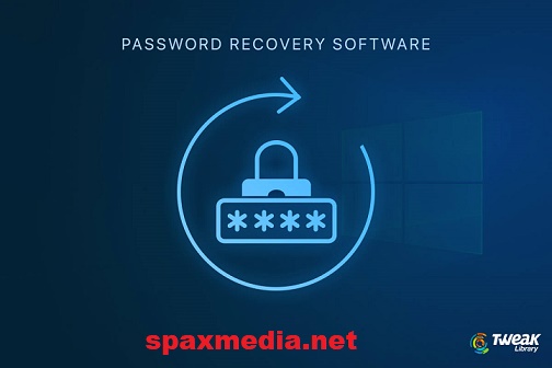 Passware Password Recovery Kit Standard Crack 