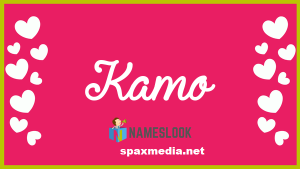 Kamo Crack